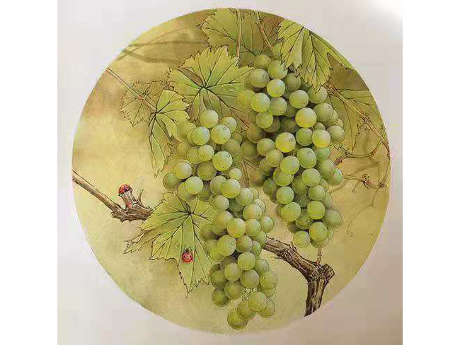 戴吉阳的葡萄作品
