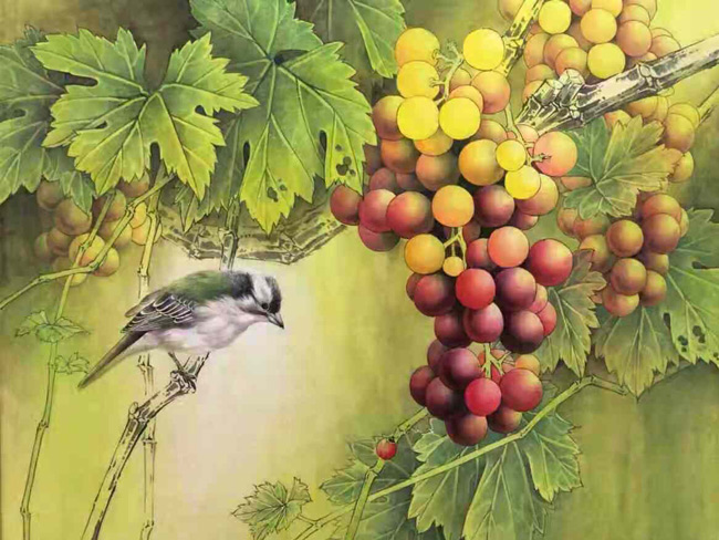 戴吉阳的葡萄作品