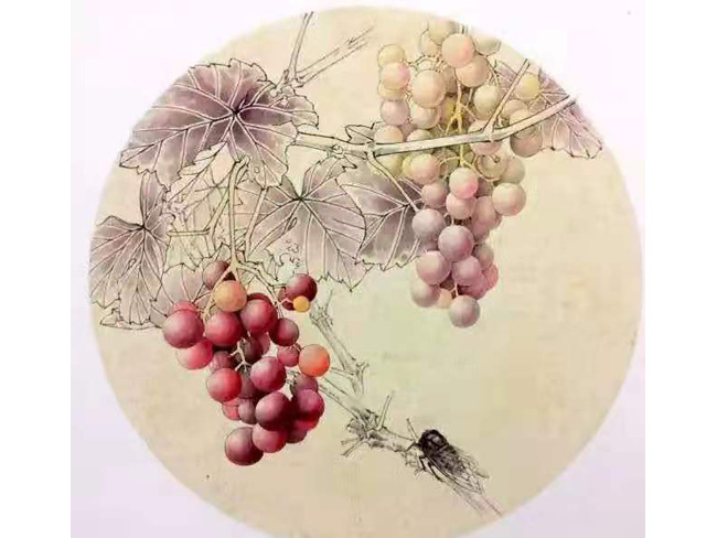 戴吉阳的葡萄作品
